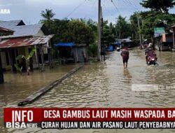 Desa Gambus Laut Masih Waspada Banjir, Curah Hujan dan Air Pasang Laut Penyebabnya