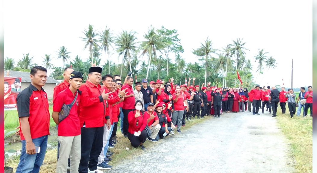 Peringati Ultah Megawati, PDIP Sergai Tanam Pohon Dan Bersihkan DAS