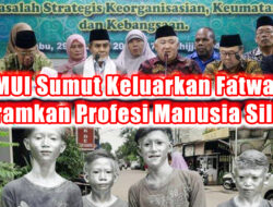 MUI Sumut Keluarkan Fatwa Haramkan Profesi Manusia Silver