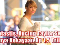 Fantastis, Kucing Taylor Swift Punya Kekayaan Rp 1,5 Triliun