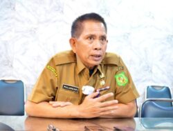 Pemko Medan Tahun Ini Revitalisasi Taman Cadika