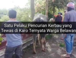 Rumah di Belawan, Curi Lembu di Tanah Karo, 2 orang Tewas, Seorang Lari Ke Hutan