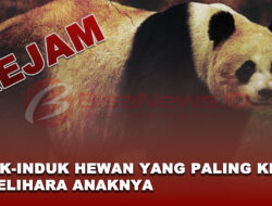 Mengerikan, Induk-Induk Hewan yang Paling Kejam Memelihara Anaknya