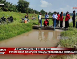 Ratusan Pintu Air Hilang, Petani Desa Kampung Kelapa Terkendala Menanam Padi | Info Bisanews