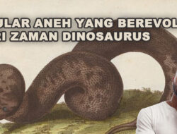10 Ular Aneh yang Masih Hidup dari Zaman Dinosaurus