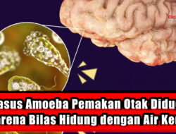 Kasus Amoeba Pemakan Otak Diduga karena Bilas Hidung dengan Air Keran