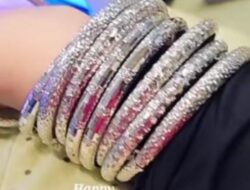 Gegara Ulah Istri Suka Pamer Kekayaan di Medsos, Suami PNS di Kemensetneg Dipecat, Cuitan pun Lenyap Seketika