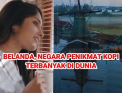 Belanda, Negara Penikmat Kopi  Terbanyak di Dunia