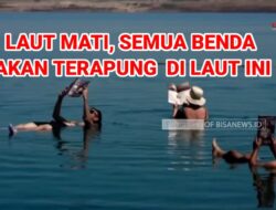 Laut Mati, Semua Benda Akan Mengapung di Laut Ini