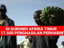 Di Burundi Afrika Timur, Rp 17.500 Penghasilan Perharinya