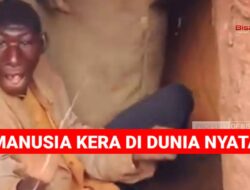 Manusia Kera di Dunia Nyata