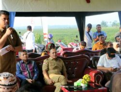 Wali Kota Medan Dan Bupati Batu Bara Teken MoU Bidang Pangan