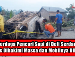 2 Terduga Pencuri Sapi di Deli Serdang, Tewas Dihakimi Massa dan Mobilnya Dibakar