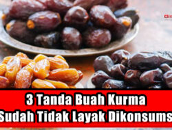 3 Tanda Buah Kurma Sudah Tidak Layak Dikonsumsi