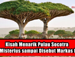 Kisah Menarik Pulau Socotra yang Misterius sampai Disebut Markas Dajjal