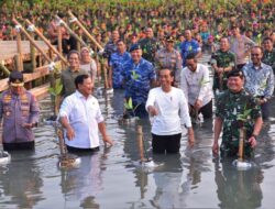 Jokowi Ajak Masyarakat Jaga dan Rawat Hutan Mangrove