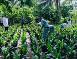 Presiden : SMK Bisa Jadi Kunci Kemajuan Negara