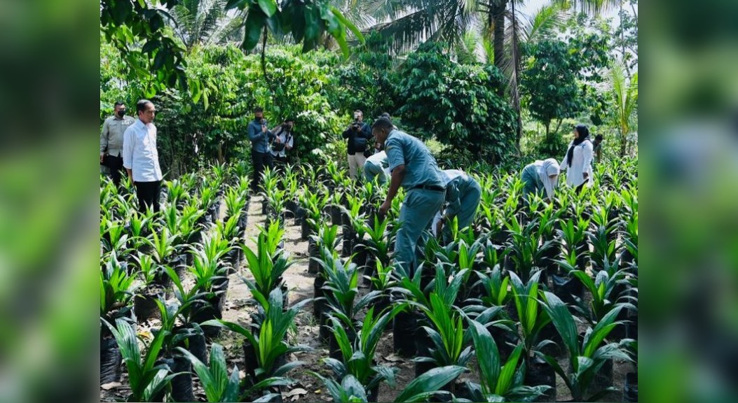 Presiden : SMK Bisa Jadi Kunci Kemajuan Negara