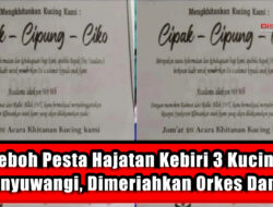 Heboh Pesta Hajatan Kebiri 3 Kucing di Banyuwangi, Dimeriahkan Orkes Dangdut