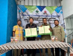 BRIN Dukung Kelompok Tani Kembangkan Jamur Merang