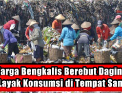 Warga Bengkalis Berebut Daging Tak Layak Konsumsi di Tempat Sampah