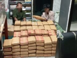 Mencoba kabur, Ditresnarkoba Polda Sumut Tangkap 3 Pelaku membawa 135 kilogram Ganja