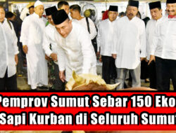 Pemprov Sumut Sebar 150 Ekor Sapi Kurban di Seluruh Sumut