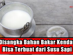 Tak Disangka Bahan Bakar Kendaraan Bisa Terbuat dari Susu Sapi
