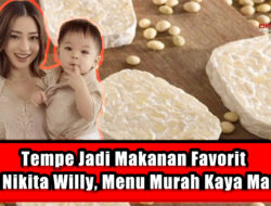 Tempe Jadi Makanan Favorit Anak Nikita Willy, Menu Murah Kaya Manfaat