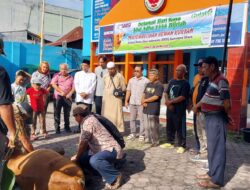Iduladha 1444 H : SMSI Sumut Sembelih 1 Sapi Dan 3 Kambing Kurban