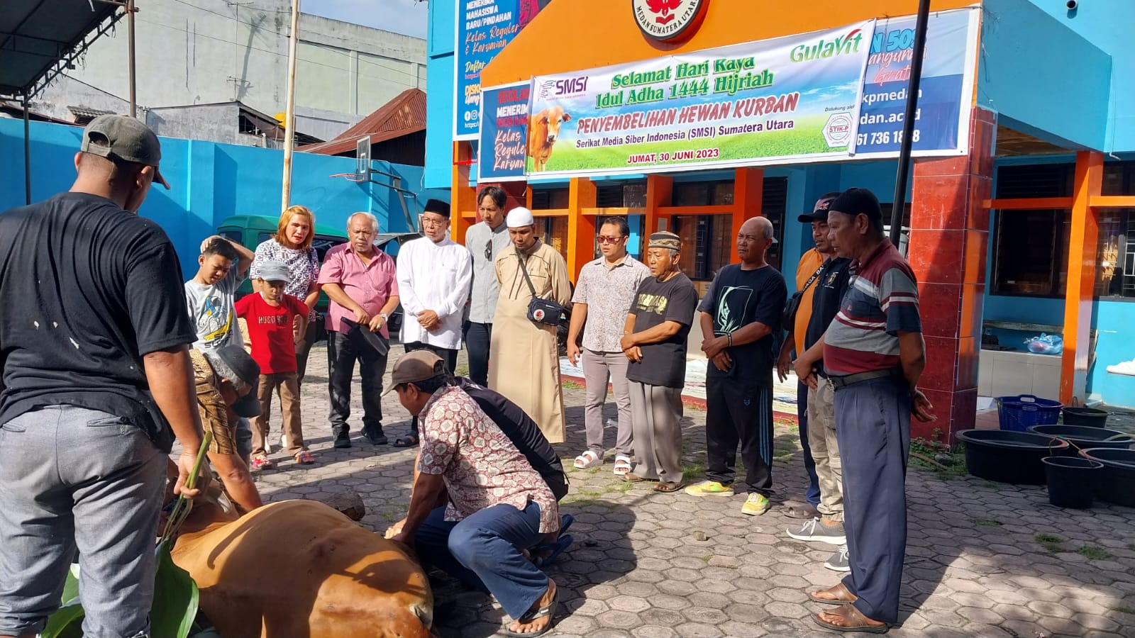 Iduladha 1444 H : SMSI Sumut Sembelih 1 Sapi Dan 3 Kambing Kurban