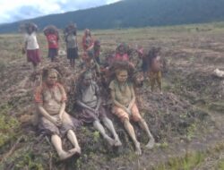 Dampak El Nino, 6 Warga Papua Tengah Meninggal Disebabkan Kelaparan