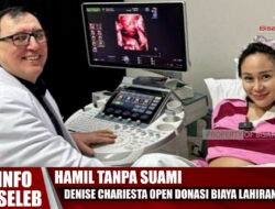 Hamil Tanpa Suami, Denies Chariesta Open Donasi Biaya Lahiran