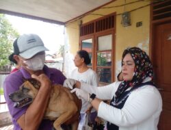 243 Hewan Peliharaan Warga Disuntik Vaksin Rabies