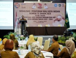 Indeks Ketahanan Pangan Kota Medan Baik