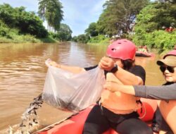 Sungai Deli Ditaburi Ribuan Bibit Gurami Dan Nila