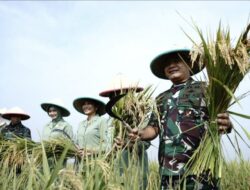 Program Pro Rakyat Jenderal Dudung Wajib Dijadikan Model Untuk Implementasi Kepemimpinan Nasional