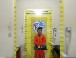 FSM Pengedar Daun Haram Diringkus Polres Padangsidimpuan, Kini Meringkuk