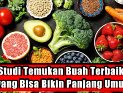 Studi Temukan Buah Terbaik yang Bisa Bikin Panjang Umur