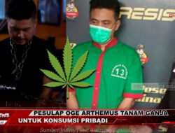 Pesulap Oge Arthemus Tanam Ganja di Rumah Teman untuk Konsumsi Pribadi