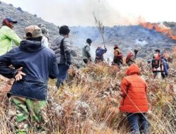 Picu Kebakaran Kawasan Bromo, Pasangan Prewed Terancam Denda Rp1,5 Miliar