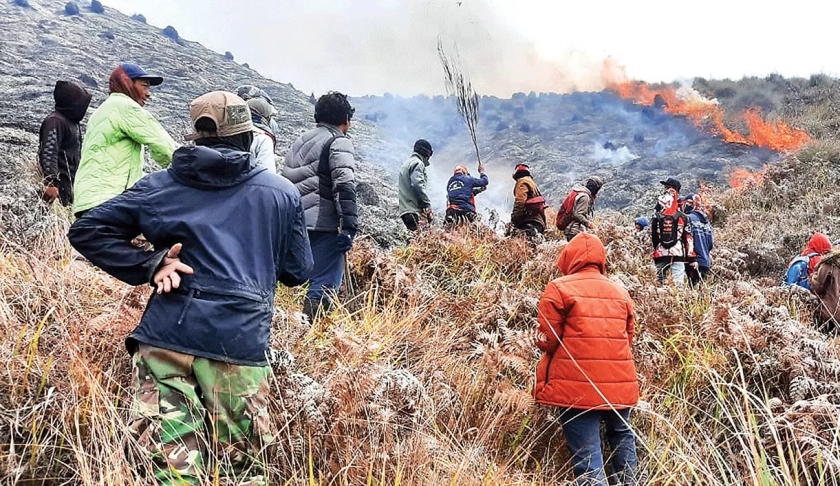 Picu Kebakaran Kawasan Bromo, Pasangan Prewed Terancam Denda Rp1,5 Miliar