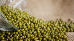 5 Manfaat Kacang Hijau Bagi Kesehatan, Cegah Sembelit Hingga Kolesterol