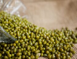5 Manfaat Kacang Hijau Bagi Kesehatan, Cegah Sembelit Hingga Kolesterol