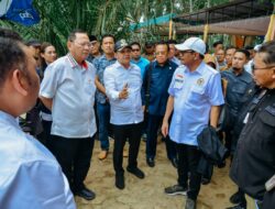 500 Ha Lahan Sawit Rakyat Di Batu Bara Masuk Program PSR 2023