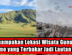 Penampakan Lokasi Wisata Gunung Bromo yang Terbakar Jadi Lautan Abu