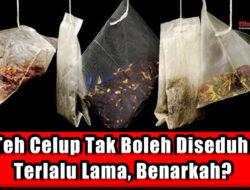 Teh Celup Tak Boleh Diseduh Terlalu Lama, Benarkah?