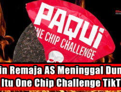 Bikin Remaja AS Meninggal Dunia, Apa Itu One Chip Challenge TikTok?