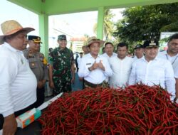 Panen Raya di Desa Lubuk Cuit, Pj Gubernur Dukung Pembangunan Rumah Produksi Pasta Cabai Merah