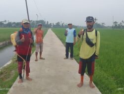 Bangun JUT, Sepanjang 367 Meter, Warga Desa Pematang Cermai Ucapkan Terima Kasih Ke Bupati Sergai